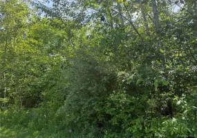 TBD Hawleys Corners, Lloyd, NY, ,Land,For Rent,Hawleys Corners,0,1002658 TBD Hawleys Corners, Lloyd, NY, ,Land,For Rent,Hawleys Corners,0,1002658