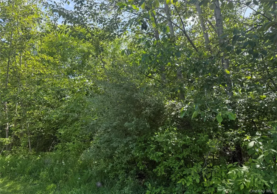 TBD Hawleys Corners, Lloyd, NY, ,Land,For Rent,Hawleys Corners,0,1002658 TBD Hawleys Corners, Lloyd, NY, ,Land,For Rent,Hawleys Corners,0,1002658