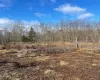 1209 ROUTE 9G, Hyde Park, NY, ,Land,For Rent,ROUTE 9G,0,1003325 1209 ROUTE 9G, Hyde Park, NY, ,Land,For Rent,ROUTE 9G,0,1003325