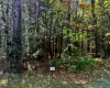 Lot 2, 67 Falling Wayers Drive Lot 2, 67 Falling Wayers Drive