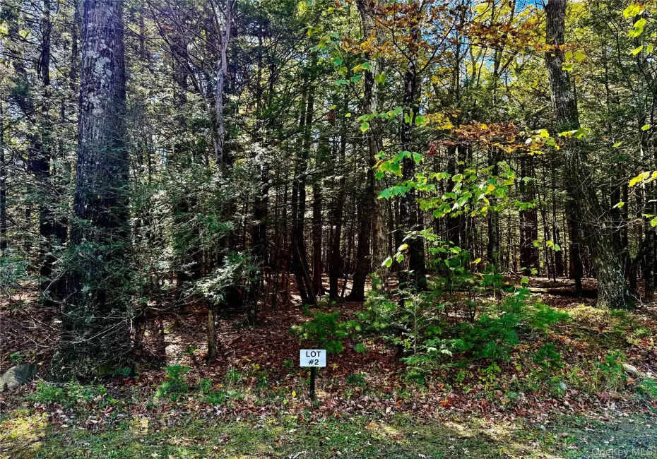 Lot 2, 67 Falling Wayers Drive Lot 2, 67 Falling Wayers Drive
