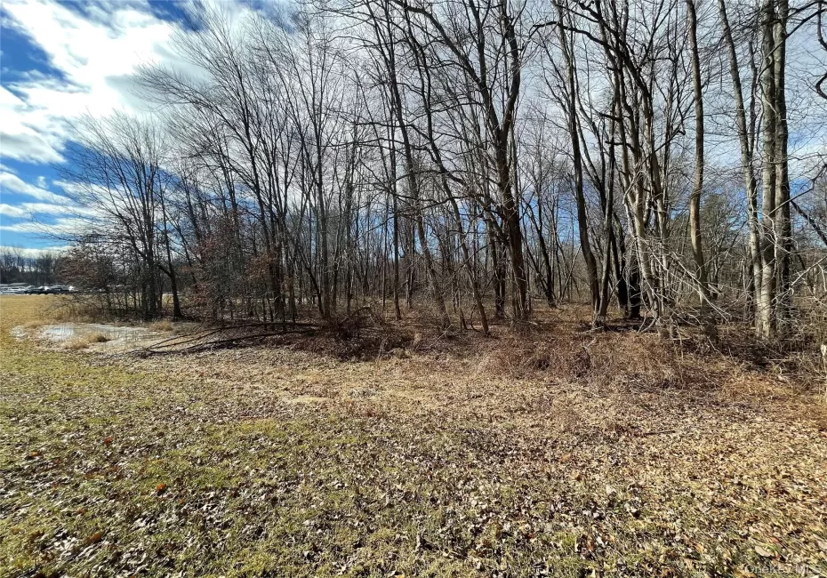 Rt-9G, Rhinebeck, NY, ,Land,For Rent,Rt-9G,0,1003878 Rt-9G, Rhinebeck, NY, ,Land,For Rent,Rt-9G,0,1003878
