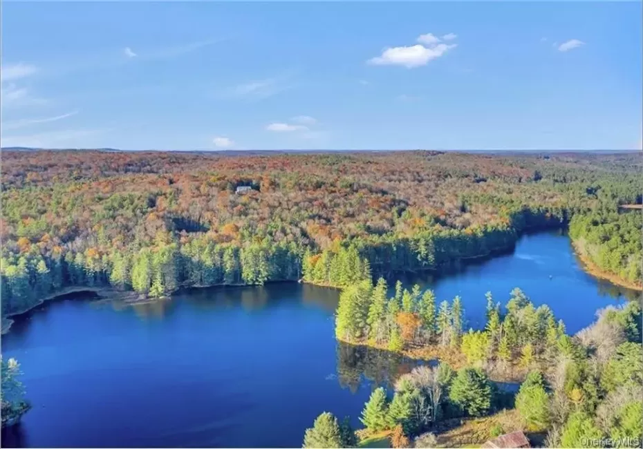 Lot 92 Mathias Weiden Drive, Tusten, NY, ,Land,For Rent,Mathias Weiden,0,000047 Lot 92 Mathias Weiden Drive, Tusten, NY, ,Land,For Rent,Mathias Weiden,0,000047