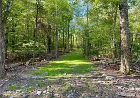 Mt Prosper Road, Mamakating, NY, ,Land,For Rent,Mt Prosper,0,905997 Mt Prosper Road, Mamakating, NY, ,Land,For Rent,Mt Prosper,0,905997