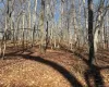 Woodhull Landing, Brookhaven, NY, ,Land,For Rent,Woodhull Landing,0,992152 Woodhull Landing, Brookhaven, NY, ,Land,For Rent,Woodhull Landing,0,992152