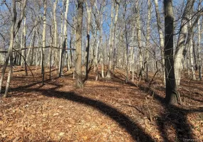 Woodhull Landing, Brookhaven, NY, ,Land,For Rent,Woodhull Landing,0,992152 Woodhull Landing, Brookhaven, NY, ,Land,For Rent,Woodhull Landing,0,992152