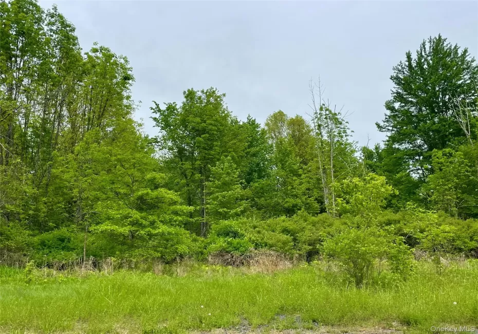 Orchard Drive, Plattekill, NY, ,Land,For Rent,Orchard,0,1004494 Orchard Drive, Plattekill, NY, ,Land,For Rent,Orchard,0,1004494