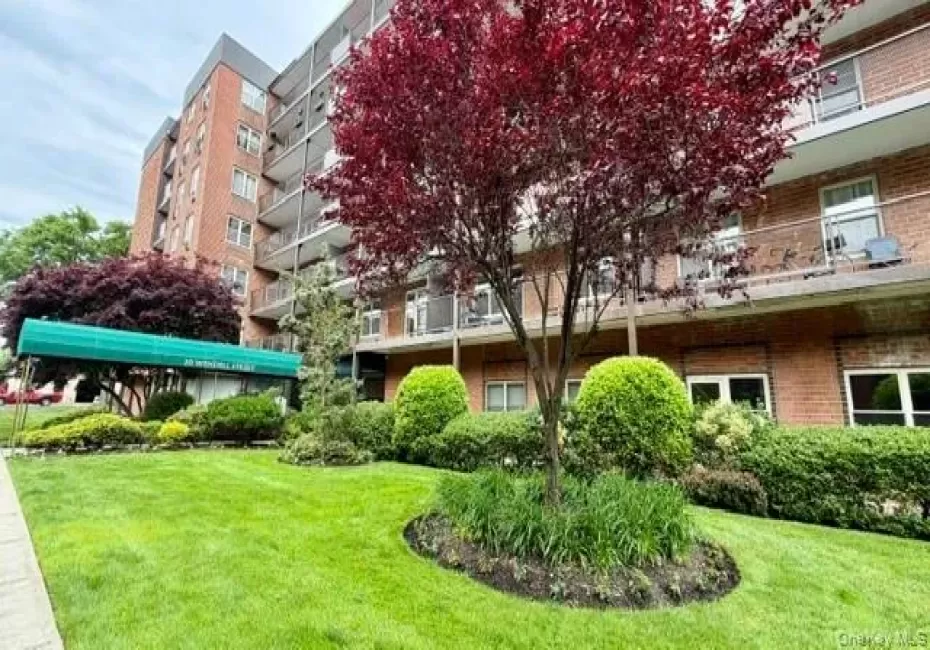 20 Wendell Street, Hempstead, NY, 1 Bedroom Bedrooms, 3 Rooms Rooms,1 BathroomBathrooms,Residential,For Rent,Wendell,0,1005116 20 Wendell Street, Hempstead, NY, 1 Bedroom Bedrooms, 3 Rooms Rooms,1 BathroomBathrooms,Residential,For Rent,Wendell,0,1005116