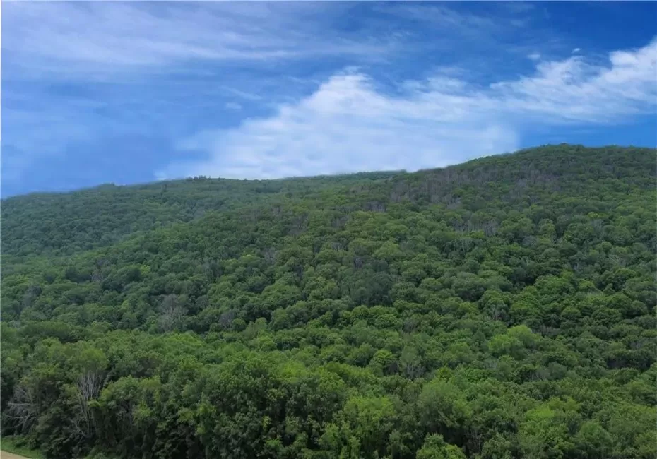 Property view of mountains Property view of mountains