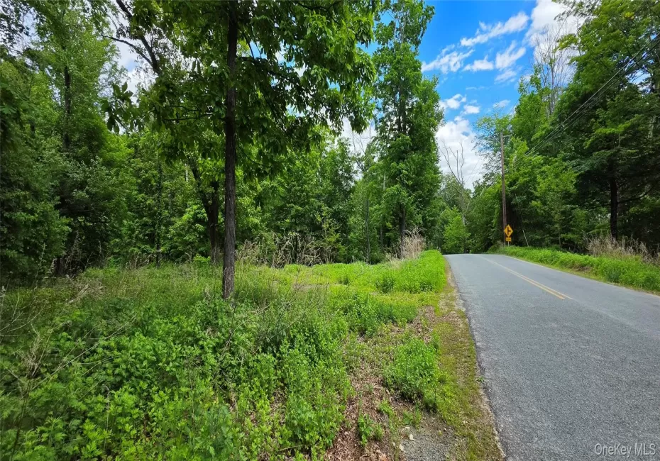 00 Ski Run Road, Mamakating, NY, ,Land,For Rent,Ski Run,0,1006332 00 Ski Run Road, Mamakating, NY, ,Land,For Rent,Ski Run,0,1006332