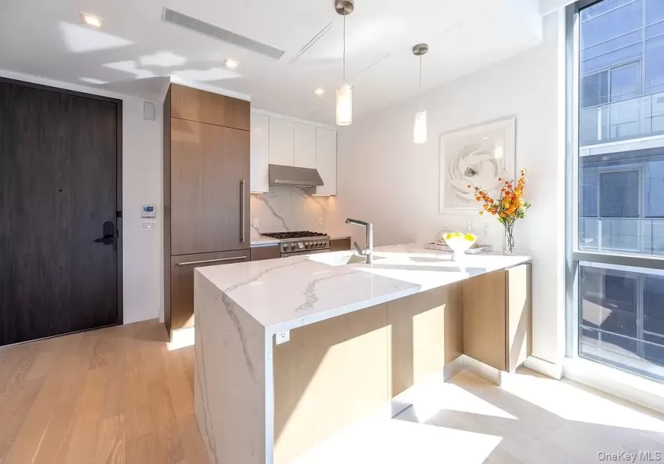 Kitchen featuring tasteful backsplash, under cabinet range hood, premium appliances, light wood-style floors, and modern cabinets Kitchen featuring tasteful backsplash, under cabinet range hood, premium appliances, light wood-style floors, and modern cabinets