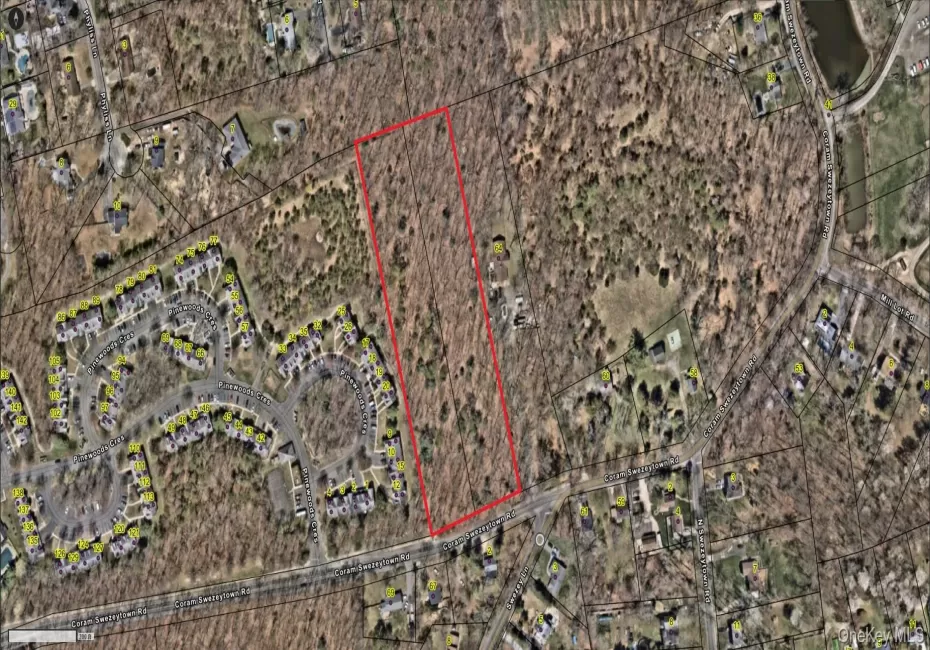 VL Coram Swezeytown Road, Brookhaven, NY, ,Land,For Rent,Coram Swezeytown,0,991543 VL Coram Swezeytown Road, Brookhaven, NY, ,Land,For Rent,Coram Swezeytown,0,991543