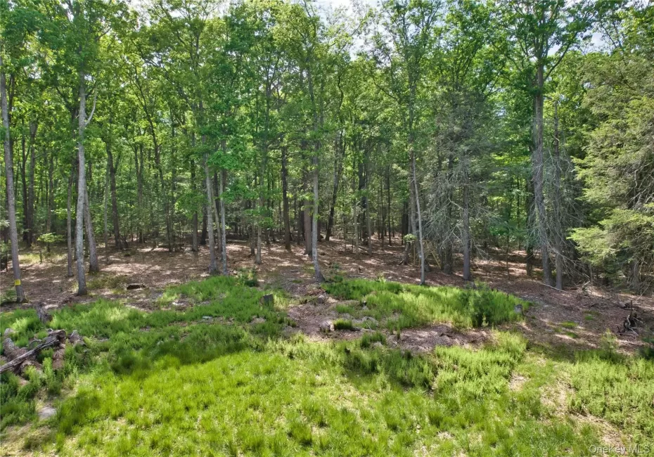 Jersey Road, Mamakating, NY, ,Land,For Rent,Jersey,0,1008264 Jersey Road, Mamakating, NY, ,Land,For Rent,Jersey,0,1008264