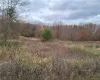 Ashley Drive - Lot 5, Rosendale, NY, ,Land,For Rent,Ashley Drive - Lot 5,0,1008612 Ashley Drive - Lot 5, Rosendale, NY, ,Land,For Rent,Ashley Drive - Lot 5,0,1008612
