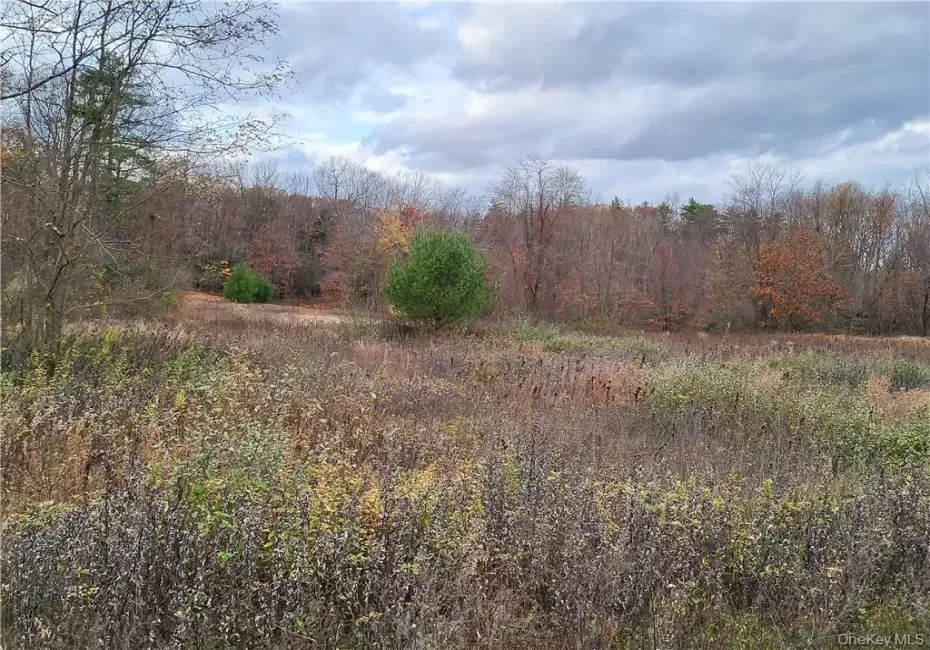 Ashley Drive - Lot 5, Rosendale, NY, ,Land,For Rent,Ashley Drive - Lot 5,0,1008612 Ashley Drive - Lot 5, Rosendale, NY, ,Land,For Rent,Ashley Drive - Lot 5,0,1008612