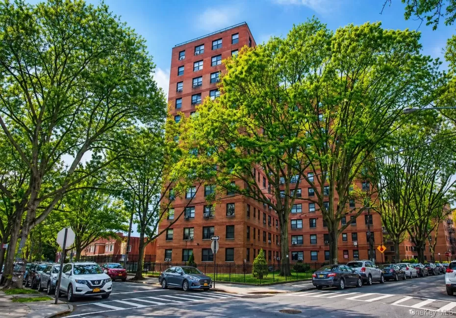 6434 102nd Street, New York, NY, 1 Bedroom Bedrooms, 3 Rooms Rooms,Residential,For Rent,102nd,0,1007829 6434 102nd Street, New York, NY, 1 Bedroom Bedrooms, 3 Rooms Rooms,Residential,For Rent,102nd,0,1007829