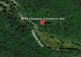 804 Hearts Content Road, Cairo, NY, ,Land,For Rent,Hearts Content,0,985262 804 Hearts Content Road, Cairo, NY, ,Land,For Rent,Hearts Content,0,985262