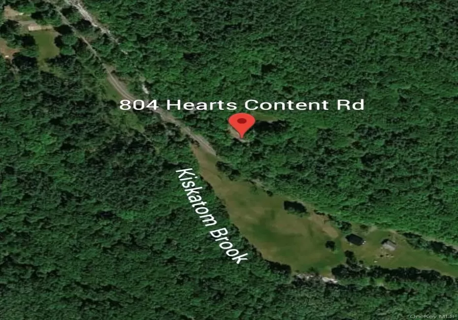 804 Hearts Content Road, Cairo, NY, ,Land,For Rent,Hearts Content,0,985262 804 Hearts Content Road, Cairo, NY, ,Land,For Rent,Hearts Content,0,985262