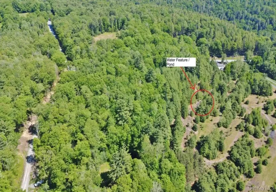 *** Marsh Rd, Fallsburg, NY, ,Land,For Rent,*** Marsh Rd,0,1010465 *** Marsh Rd, Fallsburg, NY, ,Land,For Rent,*** Marsh Rd,0,1010465