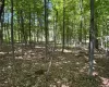 0 Smith Road, La Grange, NY, ,Land,For Rent,Smith,0,977843 0 Smith Road, La Grange, NY, ,Land,For Rent,Smith,0,977843