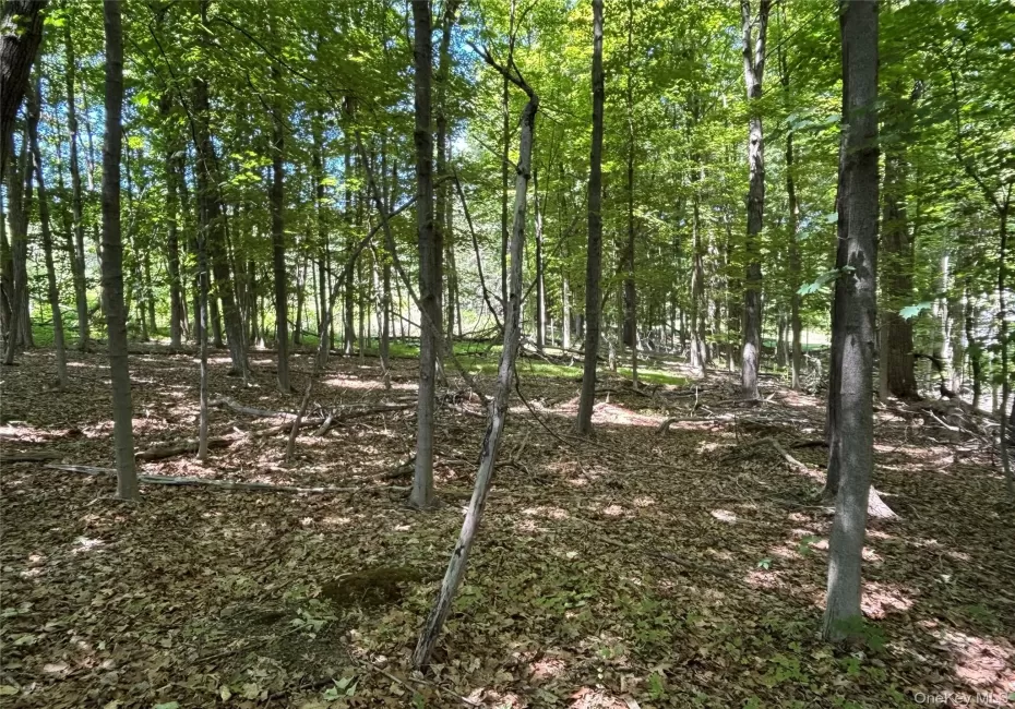 0 Smith Road, La Grange, NY, ,Land,For Rent,Smith,0,977843 0 Smith Road, La Grange, NY, ,Land,For Rent,Smith,0,977843