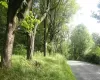 Henry Road, Wawarsing, NY, ,Land,For Rent,Henry,0,909778 Henry Road, Wawarsing, NY, ,Land,For Rent,Henry,0,909778