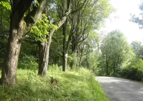Henry Road, Wawarsing, NY, ,Land,For Rent,Henry,0,909778 Henry Road, Wawarsing, NY, ,Land,For Rent,Henry,0,909778