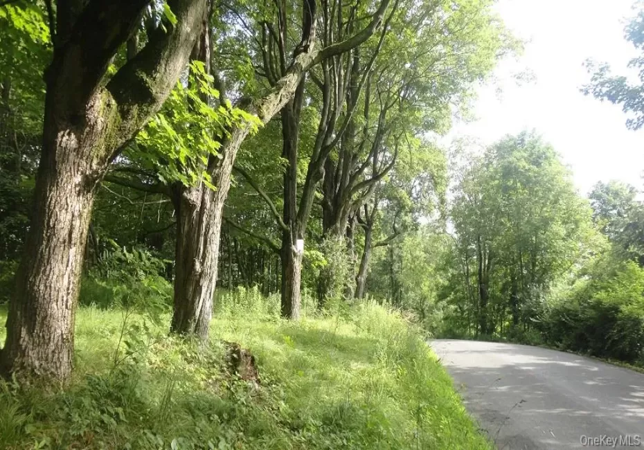 Henry Road, Wawarsing, NY, ,Land,For Rent,Henry,0,909778 Henry Road, Wawarsing, NY, ,Land,For Rent,Henry,0,909778