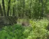 00 Polster, Delaware, NY, ,Land,For Rent,Polster,0,1011401 00 Polster, Delaware, NY, ,Land,For Rent,Polster,0,1011401