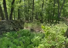 00 Polster, Delaware, NY, ,Land,For Rent,Polster,0,1011401 00 Polster, Delaware, NY, ,Land,For Rent,Polster,0,1011401