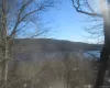 Water view with a forest Water view with a forest