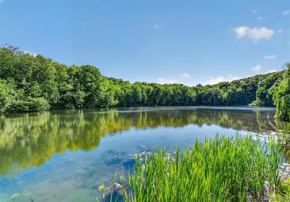 Featuring a stunning 5-acre private lake, 29-35 Bowen Court offers a rare combination of natural beauty, privacy, and investment potential. Featuring a stunning 5-acre private lake, 29-35 Bowen Court offers a rare combination of natural beauty, privacy, and investment potential.