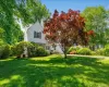 Beautiful tree in front of house. Beautiful tree in front of house.