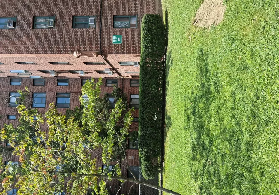 1575 Odell Street, New York, NY, 1 Bedroom Bedrooms, 3 Rooms Rooms,1 BathroomBathrooms,Residential,For Rent,Odell,0,1012694 1575 Odell Street, New York, NY, 1 Bedroom Bedrooms, 3 Rooms Rooms,1 BathroomBathrooms,Residential,For Rent,Odell,0,1012694