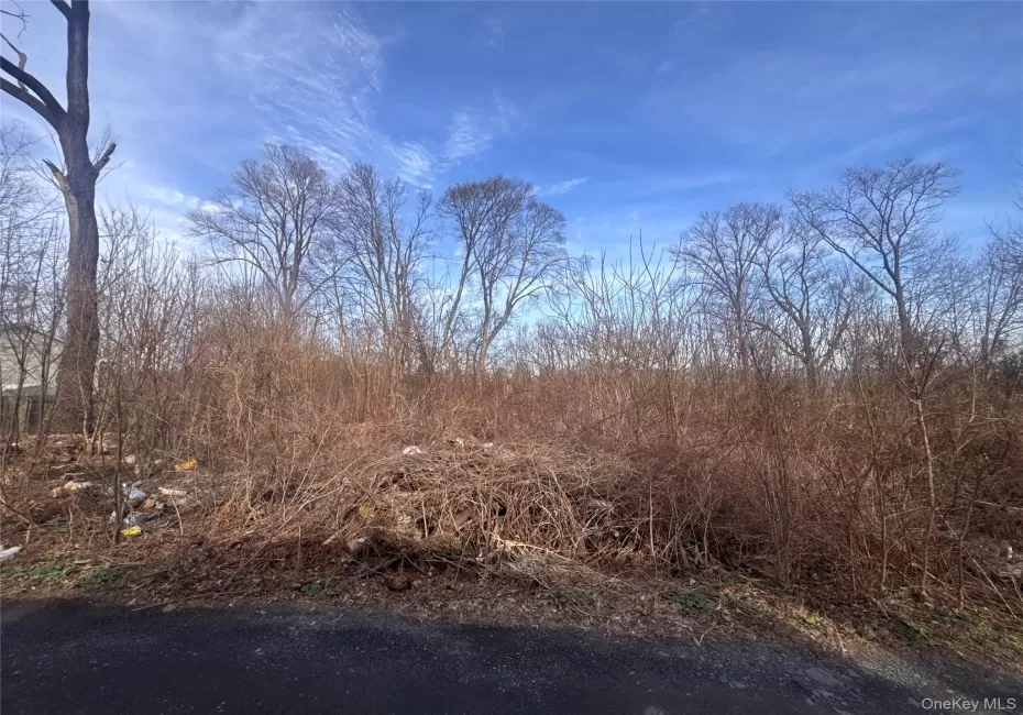 121 Robinson Avenue, Newburgh (city), NY, ,Land,For Rent,Robinson,0,1010369 121 Robinson Avenue, Newburgh (city), NY, ,Land,For Rent,Robinson,0,1010369