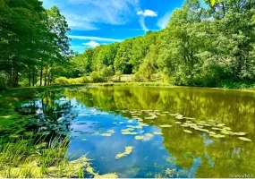 130 Dyker Road, Callicoon, NY, ,Land,For Rent,Dyker,0,1013142 130 Dyker Road, Callicoon, NY, ,Land,For Rent,Dyker,0,1013142