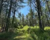 1315 Sackett Lake Rd, Forestburgh, NY, ,Land,For Rent,Sackett Lake Rd,0,943101 1315 Sackett Lake Rd, Forestburgh, NY, ,Land,For Rent,Sackett Lake Rd,0,943101