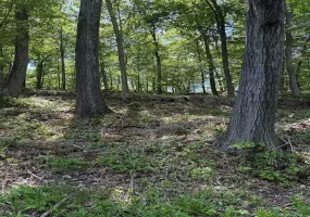 98 Ice Pond Road, Southeast, NY, ,Land,For Rent,Ice Pond,0,1013175 98 Ice Pond Road, Southeast, NY, ,Land,For Rent,Ice Pond,0,1013175