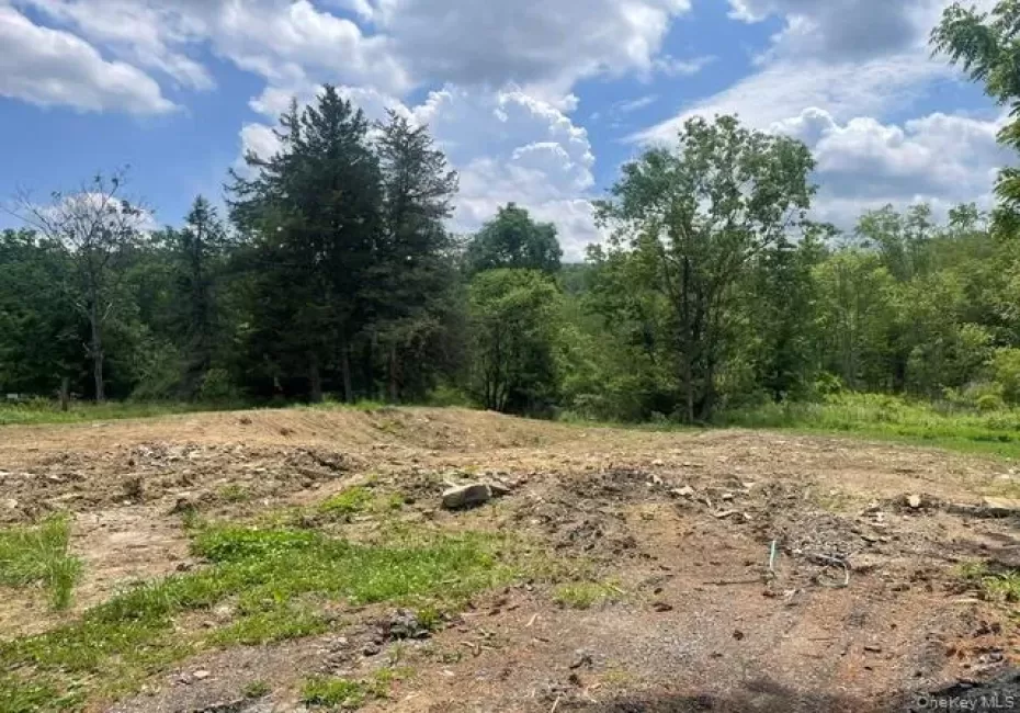 429 Van Burenville Road, Middletown, NY, ,Land,For Rent,Van Burenville,0,1013540 429 Van Burenville Road, Middletown, NY, ,Land,For Rent,Van Burenville,0,1013540