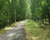 99 Zock Road, Deerpark, NY, ,Land,For Rent,Zock,0,1014016 99 Zock Road, Deerpark, NY, ,Land,For Rent,Zock,0,1014016