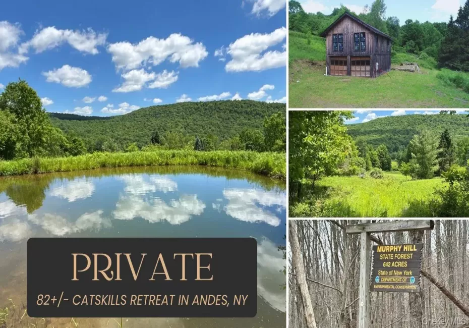2613 Murphy Hill Road, Andes, NY, ,Land,For Rent,Murphy Hill,0,1013921 2613 Murphy Hill Road, Andes, NY, ,Land,For Rent,Murphy Hill,0,1013921