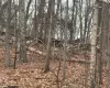 17 Vanessa Lane, Hyde Park, NY, ,Land,For Rent,Vanessa,0,953629 17 Vanessa Lane, Hyde Park, NY, ,Land,For Rent,Vanessa,0,953629