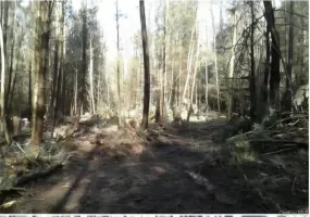 24-12 Parks Rd, Liberty, NY, ,Land,For Rent,Parks Rd,0,1013354 24-12 Parks Rd, Liberty, NY, ,Land,For Rent,Parks Rd,0,1013354