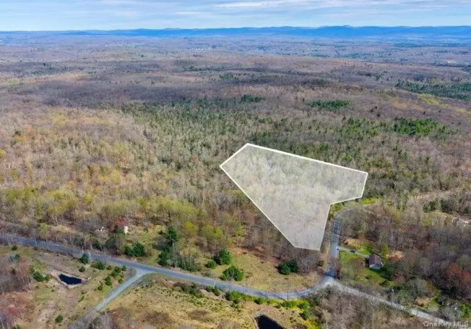 Taylor Road, Fallsburg, NY, ,Land,For Rent,Taylor,0,964708 Taylor Road, Fallsburg, NY, ,Land,For Rent,Taylor,0,964708