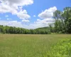 Expansive grassy field framed by a distant treeline and a rolling, tree-covered hill Expansive grassy field framed by a distant treeline and a rolling, tree-covered hill