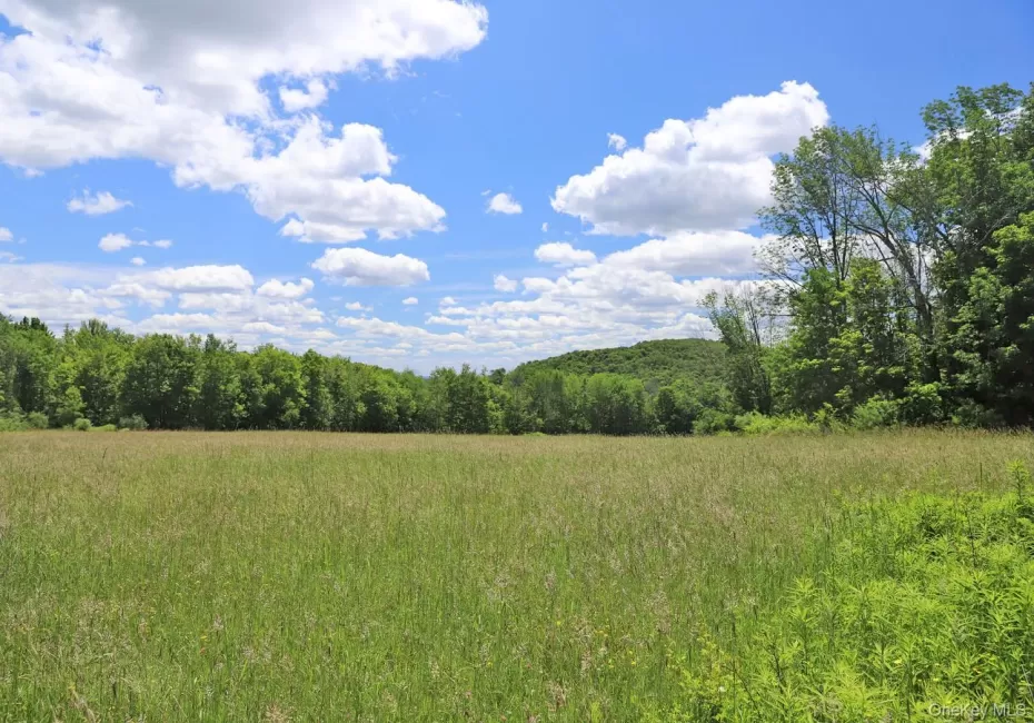 Expansive grassy field framed by a distant treeline and a rolling, tree-covered hill Expansive grassy field framed by a distant treeline and a rolling, tree-covered hill