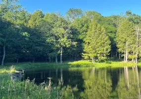 4 Cold Creek Pass, Liberty, NY, ,Land,For Rent,Cold Creek,0,1013402 4 Cold Creek Pass, Liberty, NY, ,Land,For Rent,Cold Creek,0,1013402
