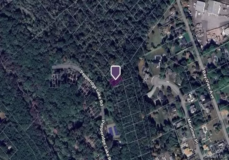Vacant Land Park Avenue, Brookhaven, NY, ,Land,For Rent,Park,0,1015392 Vacant Land Park Avenue, Brookhaven, NY, ,Land,For Rent,Park,0,1015392