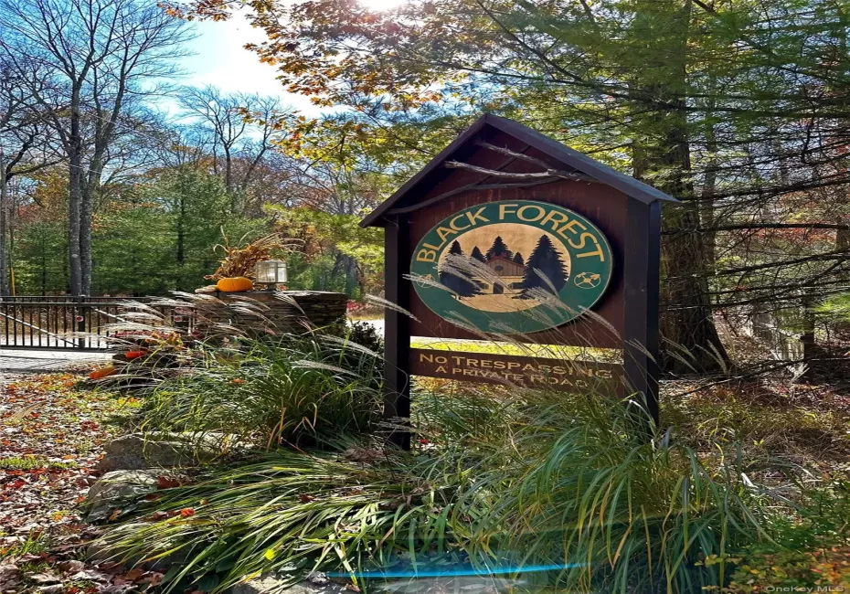 Upper Lumber Road, Lumberland, NY, ,Land,For Rent,Upper Lumber,0,977700 Upper Lumber Road, Lumberland, NY, ,Land,For Rent,Upper Lumber,0,977700