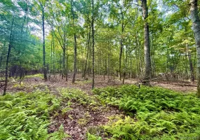 Marko Drive, Highland, NY, ,Land,For Rent,Marko,0,978761 Marko Drive, Highland, NY, ,Land,For Rent,Marko,0,978761